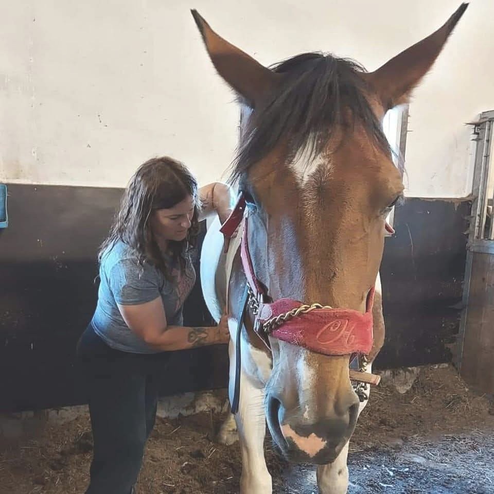 Annica masserar en häst i stallet